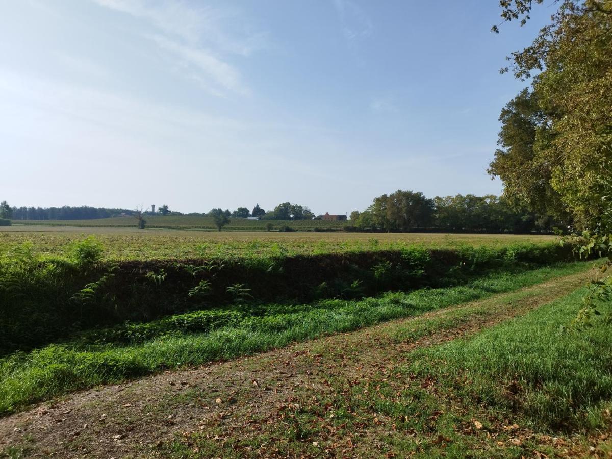 La Cordonnerie De Las Places Campagne-d'Armagnac Экстерьер фото